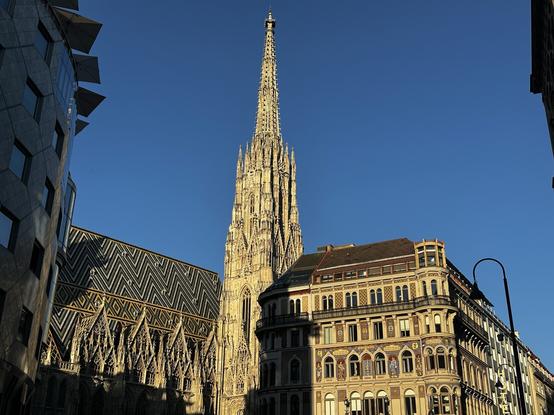 The Steffl cathedral in Vienna, bathed in late afternoon sun.