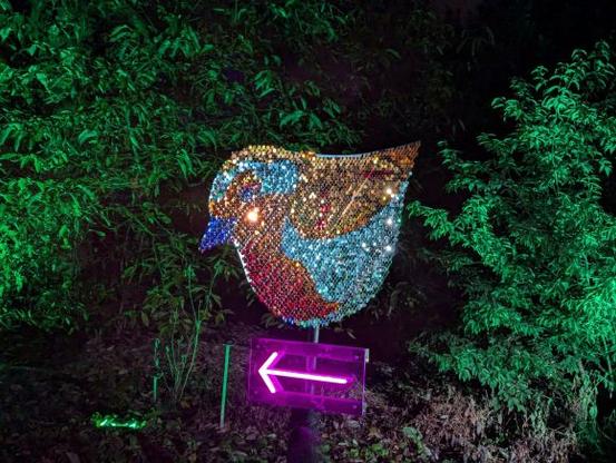 Light art of a robin above an arrow showing the way