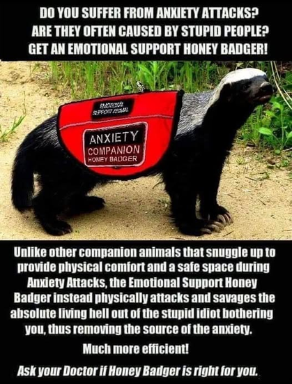 DO YOU SUFFER FROM ANXIETY ATTACKS?
ARE THEY OFTEN CAUSED BY STUPID PEOPLE?
GET AN EMOTIONAL SUPPORT HONEY BADGER!

Unlike other companion animals that snuggle uw to
provide physical comfort and a safe space during
Anxiety Attacks, the Emotional Support Honey
Badger instead physically attacks and savages the
absolute living hell out of the stupid idiot bothering
you, thus removing the source of the anxiety.
Much more efficient!
Ask your Doctor if Honey Badger is right for you.