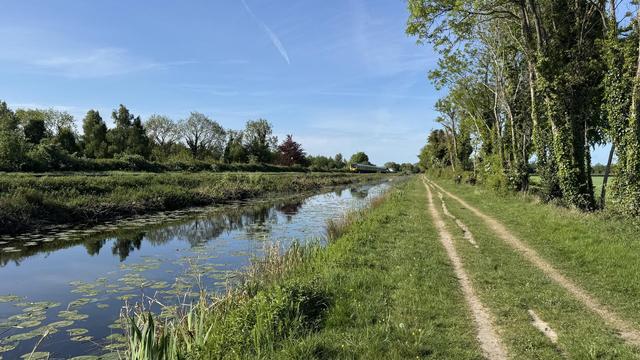 Photo, landscape, exterior: Canal towpath (a grassy track), with trees to the right, and canal to the left. It’s a bright day.
