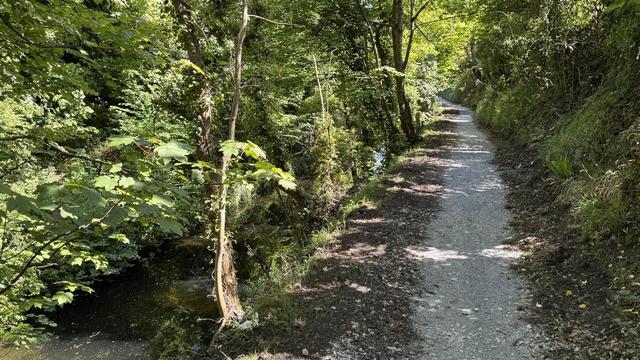Photo, landscape, exterior: A narrow towpath, covered in rough gravel. The canal is just visible below to the left. Lots of trees everywhere.