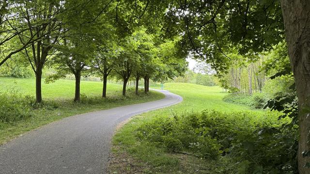 Photo, landscape, exterior: A leafy park, looking out at trees and grass from under trees, with a path through the middle.