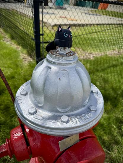 A little black cat cap on top of red fire hydrant outdoors by medical center. Cat has blue starry eyes and pink nose and ears. There’s even a fuzzy tail on the back. 
What does it have to do with a CAT/PET scan? Not much, but lightheartedness is always welcome.