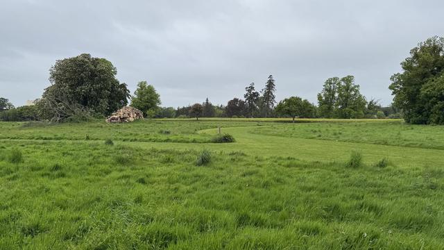 Photo, landscape, exterior: Grassy parkland, with trees in the middle and far distance. Some of the grass is long, and some parts are mown. The trees in the middle distance have a large log pile beside.