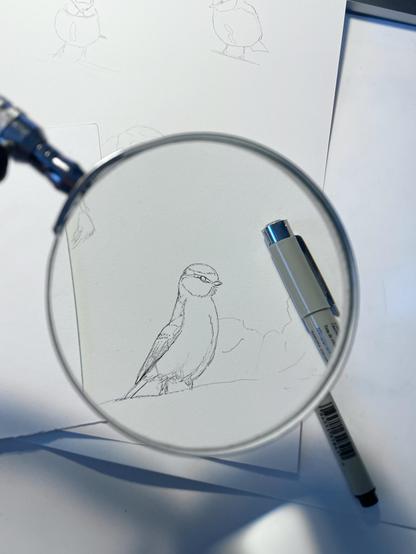 Fotat rakt uppifrån mot mitt skrivbord. En blåmes är skissad med fineliner. Den syns genom en runt förstoringsglas (som sitter på en arm och fastspänd i skrivbordsskivan). Även finelinern syns i bild.