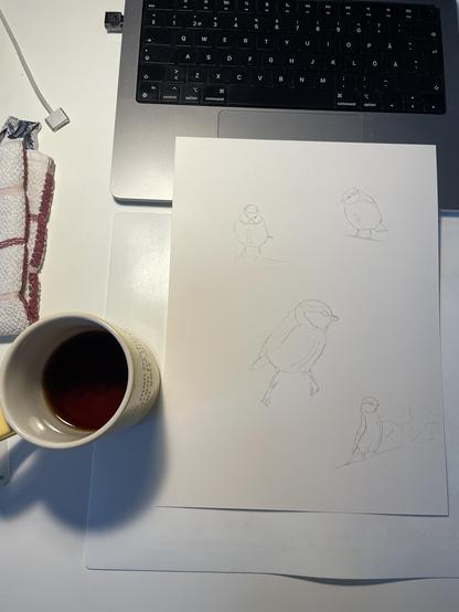 Fotat rakt ovan mitt skrivbord. En tekopp till vänster. Ett akvarellpapper med fyra blåmesar ditskissade. Tangentbordet på min Macbook.