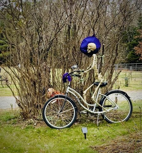 A skeleton on a silver cruiser kind of bike with step-thru top bar, swept back handlebars, fenders, and even a chain guard. The skeleton has some manner of purple/blue wide brim hat cocked off to the side, which does nicely frame the bony head. The seat seems a little low, as if it was adjusted for when it had flesh. The kickstand is still down.