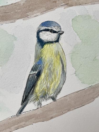 Närbild från pågående målning av fyra blåmesar i ett träd. Dena första är klar. En liten mindre fågel som står upprätt på benen och kikar på något bort åt höger.