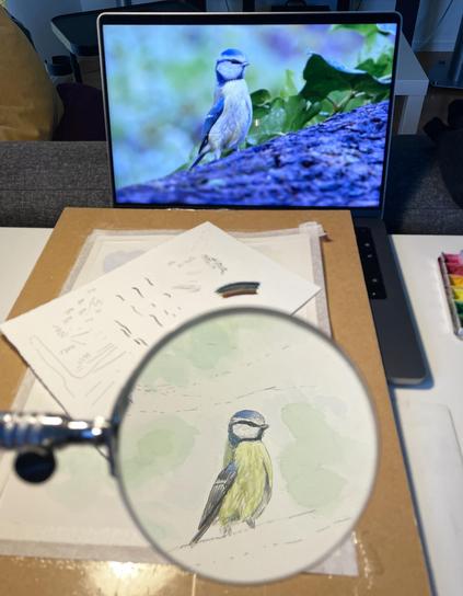 En av de fyra blåmesarna jag målar syns förstorad under ett förstoringsglas. I bakgrunden syns samma fågel på skärmen av min laptop.