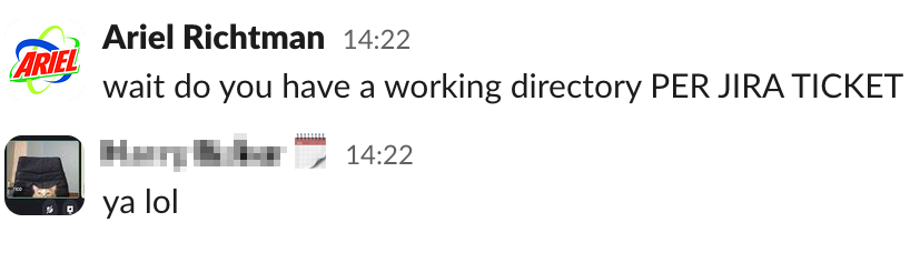 colleague admitting to having working directories per Jira ticket