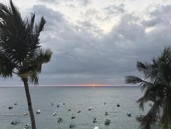 A cloudy sunset in progress framed by two palm trees and a couple dozen small boats moored just off shore. The red-orange sun is just dipping between the cloud line and the horizon in the far distance