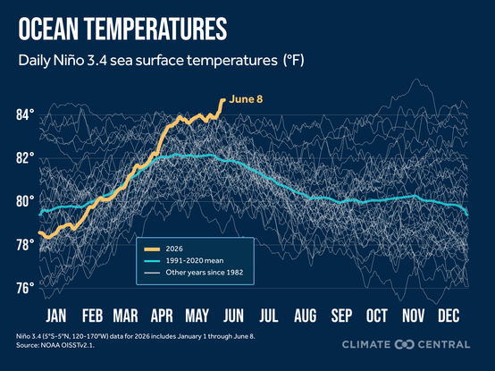 Line graph time series of daily Nino 3.4 sea surface temperatures from 1982 to 2026. This year is currently a record high for this time of year. Data is from NOAA OISSTv2.1, and the graphic is created by Climate Central.