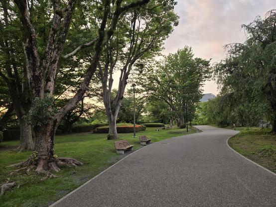 Photo of a park at dusk