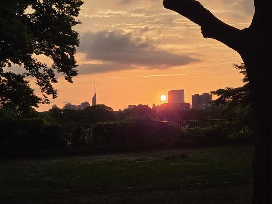 Sunset shot of Fukuoka skyline