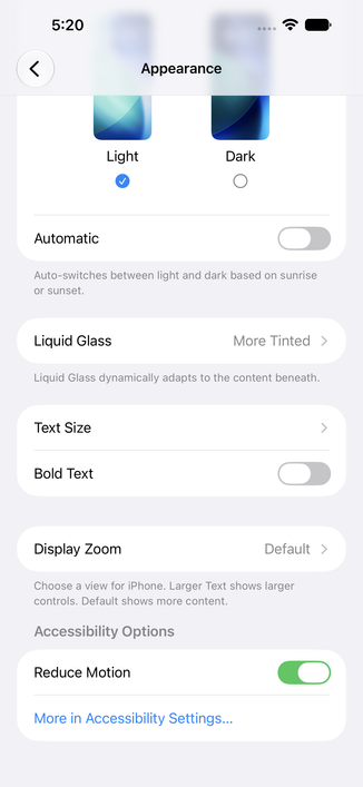 Accessibility settings surfaced in Appearance