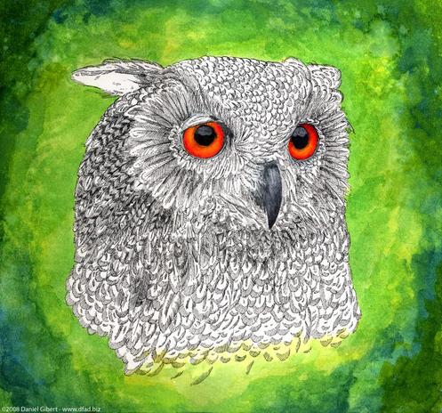 Ik line illustration of the head of an owl, with intense bright orange eyes staring calmy to the side. Illustration os over an emerald green background.