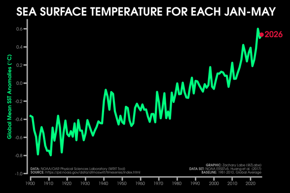 Green line graph time series of average sea surface temperature anomalies for each January to May period from 1900 through 2026. There is large interannual variability, but an overall long-term increasing trend. Anomalies are computed relative to a 1981-2010 baseline.
