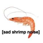 Image of a shrimp with the caption, "Sad shrimp noise."
