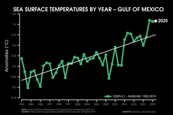 Line graph time series of sea surface temperatures in the Gulf of Mexico for each year from 1982 to 2025. There is a long-term warming trend. Data is from NOAA OISSTv2.1.