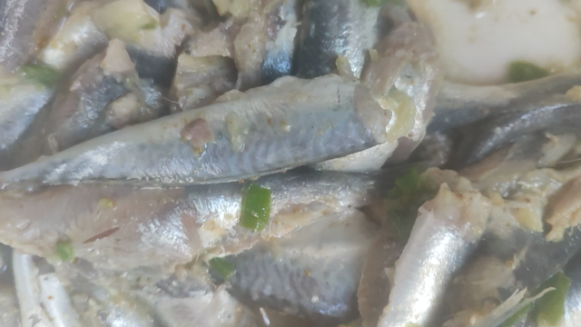 This fish in our tent isn't just food; it's the price paid for innocent lives lost facing the occupation's boats just to survive❤️‍🩹For three long years😟 we couldn't afford it. And today, for my sick mother and little brother💔I've been forced to fight a battle of necessity and choose life over destitution. Please help us survive💔🙏