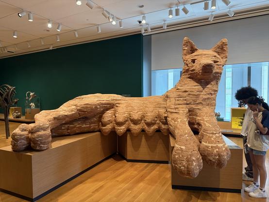 A large scale female fox sculpture constructed of aromatic cedar wood. The fox is laying prostrate with museumgoers looking at the placard next to her.