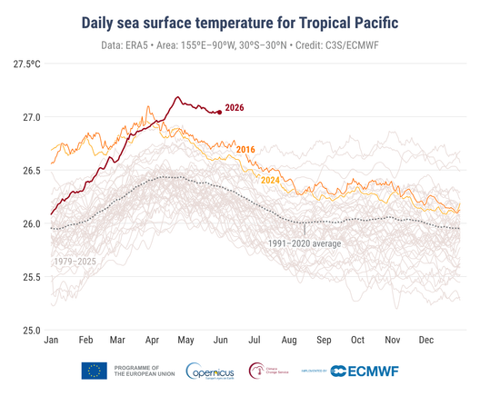 Line graph time series showing daily sea surface temperatures for the Tropical Pacific region since 1979 using C3S/ECMWF data. There is a long-term increasing trend in this region.