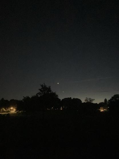 jupiter and venus visible above a silhouetted tree line in a mostly clear sky