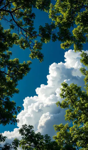 A vertical aspect ratio photo of puffy white towering cumulus clouds in an azure sky framed by sunlit tree branches with green leaves. The color of the leaves suggests the season is late spring or early summer, and the light suggests the time of day is mid to late afternoon. The colors are quite vivid but not oversaturated or unnatural.