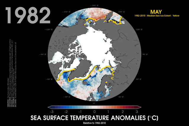 Animation of polar stereographic maps showing Arctic sea ice concentration and sea surface temperature anomalies for every April from 1982 to 2026. Blue shading is shown for colder anomalies, and red shading is shown for warmer anomalies. Sea ice concentration is shown with shades of white and grey. There is large spatial variability, but long-term warming sea surface temperatures and decreasing sea ice. A gold line for the 1982-2010 sea ice extent median is also shown.