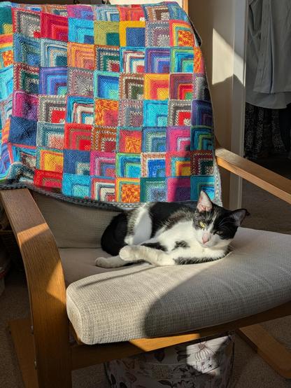An IKEA Poang chair in a sunbeam, with a cat on the chair enjoying the sun. The cat is black and white and sitting on her side, looking at the camera. The back of the chair is covered by a knitted blanket made from mitred squares of brightly multicoloured sock yarn, each square is different

The cat is called Parsnip and she particularly enjoys chewing the ends of bamboo double pointed needles of the type that are used to make blankets like this