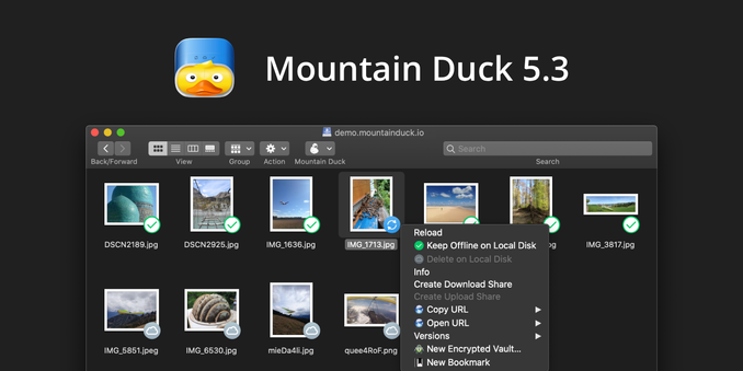 Mountain Duck 5.3 showcases a file management interface with several image files, featuring options for sharing and managing disk mounts.