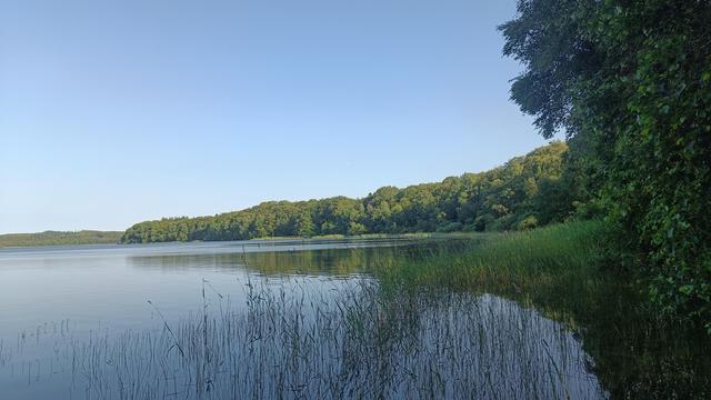 Horizontal pic taken from my little swimming nook in the late evening heat last night. The water is mirror smooth, reflecting both the deep blues and deep greens of midsummer sky and forests. In front, delicate lobelia just starting to flower in the shallows. Arcing along the horizon, shaping the lake, are thick leafy trees (mostly birch and beech) in the back, mid and foreground. And exactly centre frame, in the distance, is the swimming pier and flag pole belonging to one of a handful of summer houses, all of them entirely hidden from view. The view is peaceful, vast and lit warmly, inviting you in to sit down, rest and recover awhile. Not pictured are any of the many Nordic summer bugs waiting for the chance to bite you for blood ;)