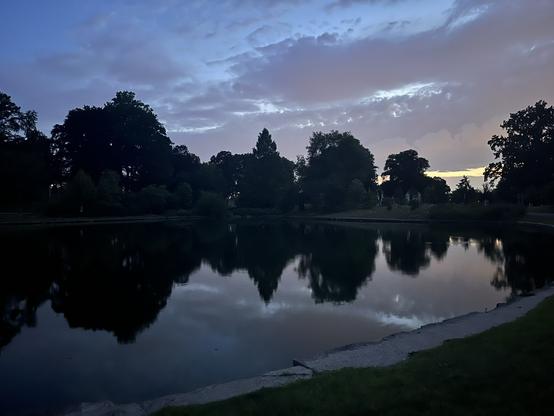 Moonlit clouds silhouette trees over a still pond at night