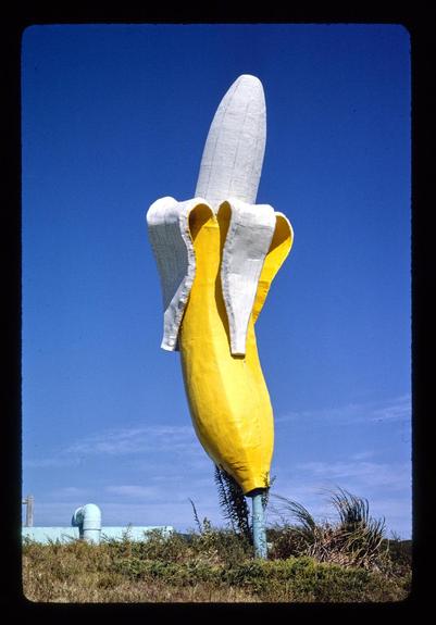 Image attached toot
