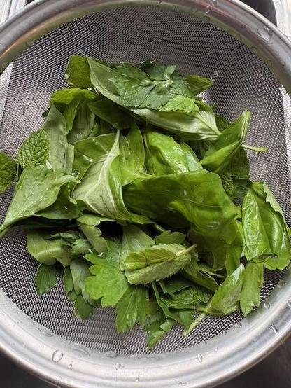 Green leaves of herbs drying in a sieve,