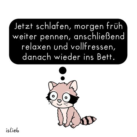 Comic. Ein Waschbär denkt: "Jetzt schlafen, morgen früh weiter pennen, anschließend relaxen und vollfressen, danach wieder ins Bett."