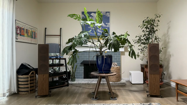Photo of a large Monstera stop a table between two floor-standing loudspeakers in a small living room. The photo distorts and wavers in an organic Hallucinogenic manner as the music plays. The Monstera is growing up towards a solar tube in the ceiling. A fireplace tiled in blue-green glass is in the background.