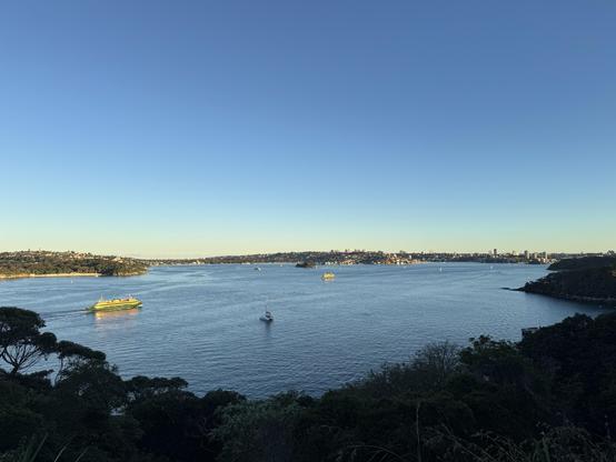 A view of Sydney Harbour from Georges Head in the late afternoon, looking out over trees in the foreground to the water, and in the distance is another branch of land. The sky is blue and cloudless, and two ferries are crossing the harbour.