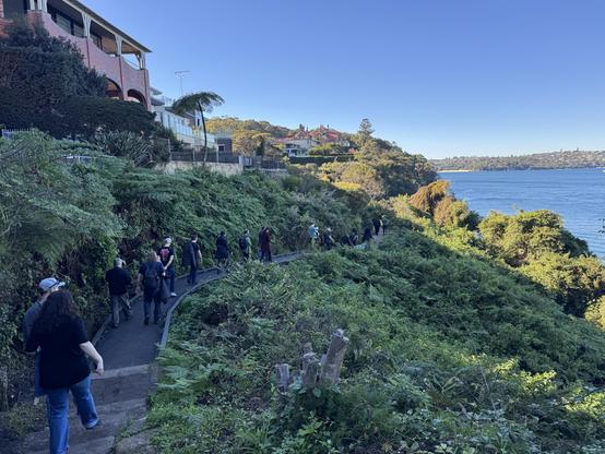 A dozen or so people walking along a path on a sunny day, all walking in the direction away from the camera. On the left are some houses, with the land either side of the path filled with trees and bushes, and then the water of Sydney Harbour to the right of screen.