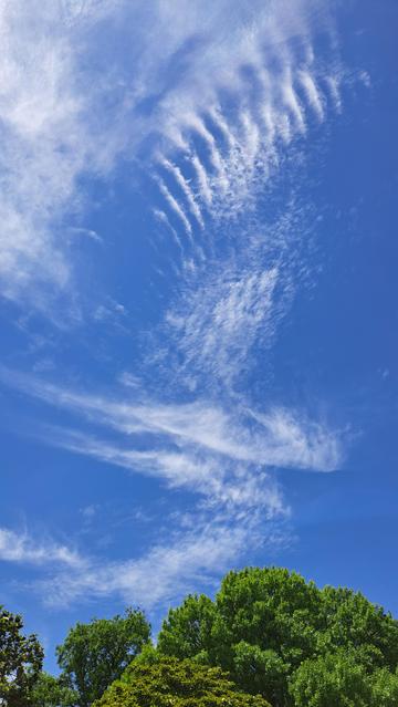 Cloud somewhat in the shape of a bird