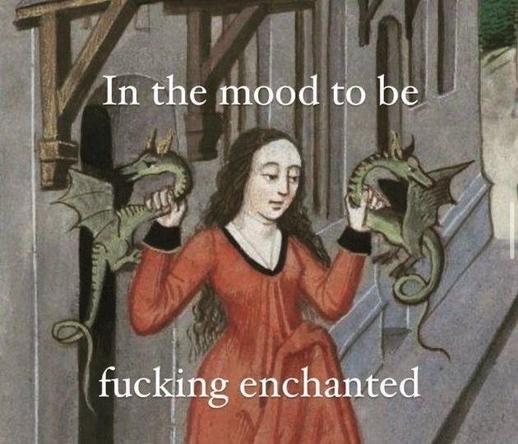 A medieval-style illustration shows a person in a long red robe standing beside a timber‑framed building. They hold two small green dragons, one in each hand, their wings spread as if mid‑flutter. The scene has the look of an illuminated manuscript. Overlaid modern text reads: “In the mood to be fucking enchanted.”