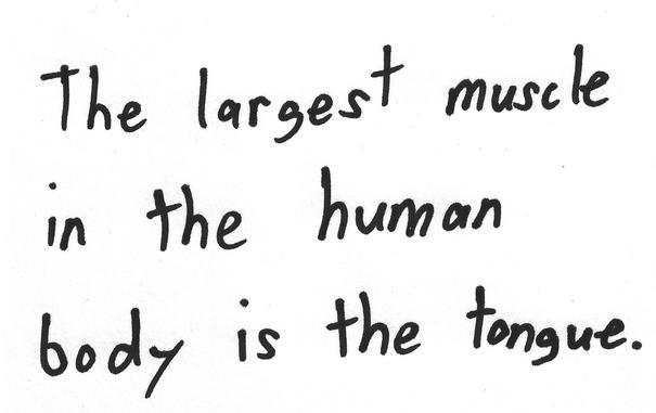 The largest muscle in the human body is the tongue.