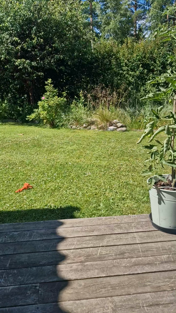 Robotgräsklippare comin' through, måste ladda!