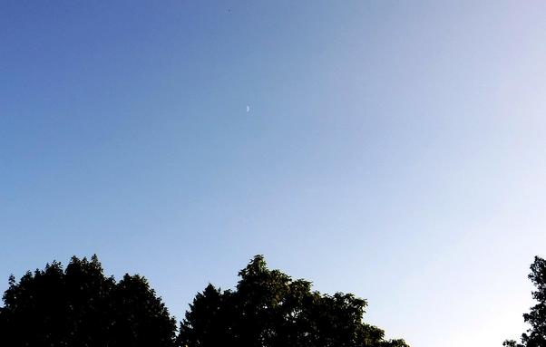 blue sky fading from bright in the west just before sunset (right), to darker blue in the east (left), with the waxing crescent moon high up in the middle over the tops of a couple of trees

i like this pic because it shows the actual size of the moon in the sky, and i really have to smile at people who believe they can tell the difference in size between this and a "supermoon" (at perigee) which is all of 14% bigger