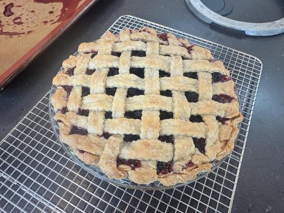 A blackberry pie cooling on the kitchen counter, with a lattice crust.  It looks tasty.