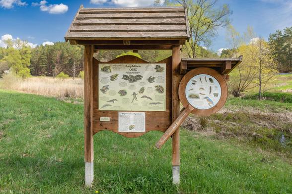 Amphibienquiz am Erlebnispfad Tretzendorfer Weiher