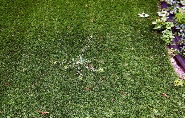 a lawn of astroturf (artificial grass, man made, plastic), showing a prolific breakthrough by an indomitable weed, like a pimple on adolescent's face