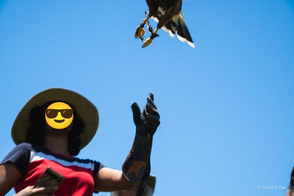 Looking up at a person (Kid1) in a hat, looking up at the hawk that has just flown. The legs (with tags) and tail feathers of the hawk are just inside the top of frame