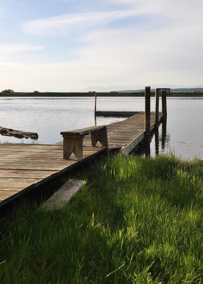 Pier on the Nicomekl River.