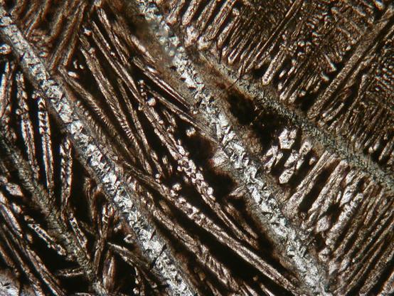 A view of a rock thin section  taken down a polarizing microscope using plane polarized light. The view consists mostly of small, pale brown, feathery, skeletal crystals (clinopyroxene) in a matrix of fine-grained dark brown material (former glass), with two larger, long linear crystals of greyer mineral (serpentinized olivine) running NW-SE across central parts of the view.